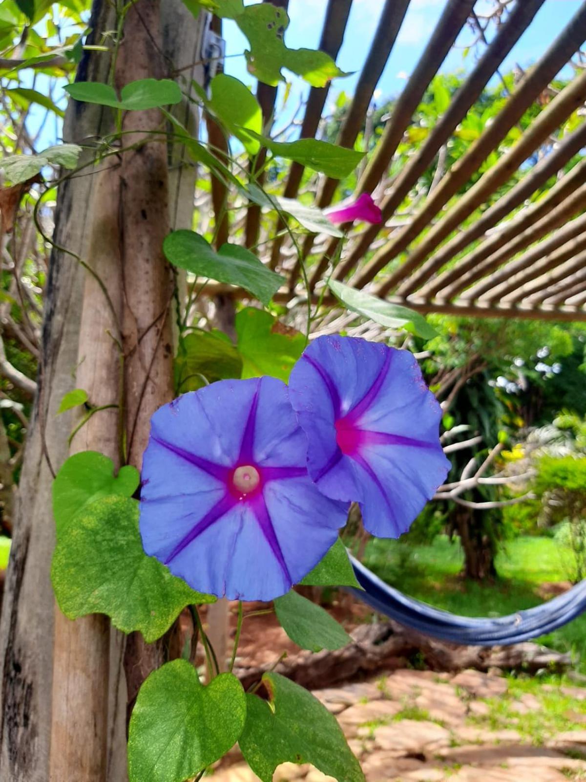 Pousada Paralelo 14 Alto Paraíso de Goiás Esterno foto